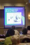 arfconla06_ws__67_small.jpg