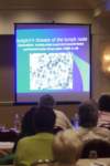 arfconla06_ws__68_small.jpg